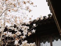 -耦园