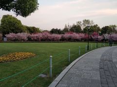 -荆川公园