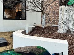 -J Create城市露营咖啡·简餐·宠物(上海动物园店)