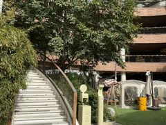 -瑞虹新天地月亮湾