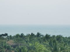 -三亚海棠湾喜来登度假酒店