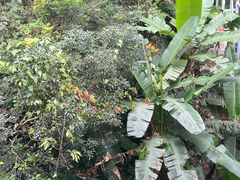 -七仙岭温泉国家森林公园