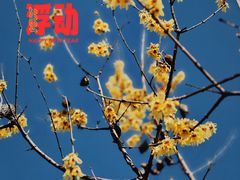 -龙美术馆西岸馆-停车场