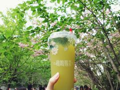 -鸡鸣赐茶(鸡鸣寺路店)