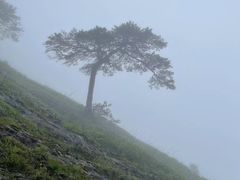 -萍乡武功山风景名胜区
