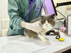 -宠爱国际维尼动物医院·疑难骨科·神经外科·肿瘤科(丰潭路店)