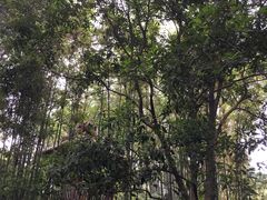 -成都杜甫草堂博物馆