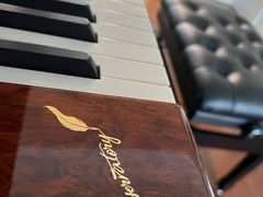 -柏斯琴行(汾阳店)