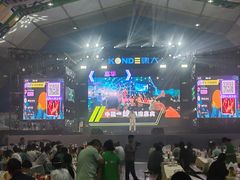 -第35届青岛国际啤酒节