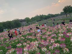 -75幢私房菜馆