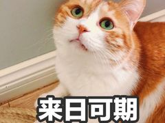 -胖哥俩肉蟹煲(世茂国际广场店)