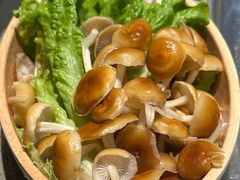 -海底捞火锅(名城广场夜宵生日主题店)