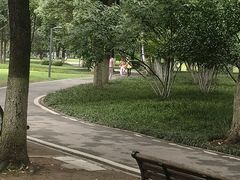 -后襄河公园