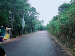 -梧桐山风景名胜区