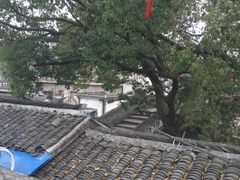 -观桥阁(锦溪店)