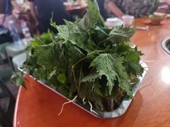-麒麟豆汤圆子火锅(川心小区店)
