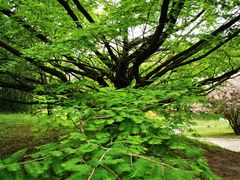 -国家植物园南园