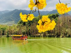 -星湖旅游景区七星岩