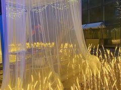 -维斯特·夜烤牛肋条任吃