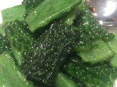 -帝皇楼