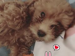 -宠颐生中康贝怡动物医院