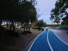 -南翔镇银翔湖公园