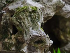 -东山雕花楼