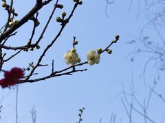 -木塔寺遗址生态公园