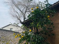 -里面·Noodlology(机电院店)