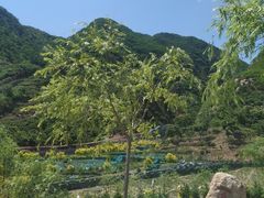 -龙井关长城漂流