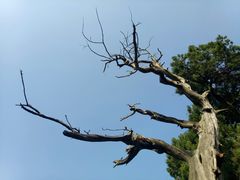 -江南第一家