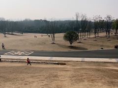 -盘龙城国家考古遗址公园