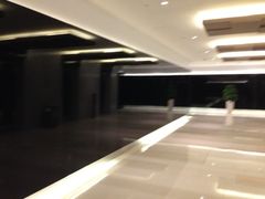 电梯厅-Iapm环贸地下车库