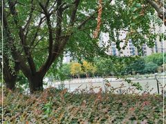 -苏州河梦清园环保主题公园