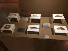 -洛阳周王城天子驾六博物馆