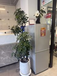 -LJOY丽锦造型·烫发染发