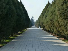 -秦始皇帝陵博物院-丽山园