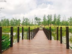 -上海长兴岛郊野公园