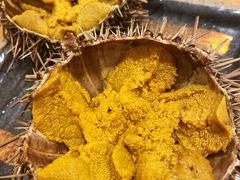 -海胆小馆(东北水饺·春柳店)