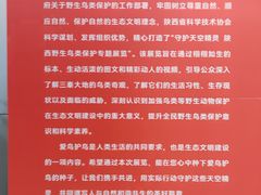 -陕西科学技术馆