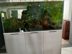 -佰丽爱家全屋定制(汶水店)