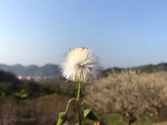 -广州市流溪河国家森林公园