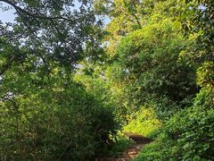 -紫金山山顶公园