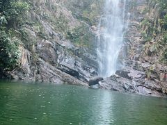 -鼎湖山风景区
