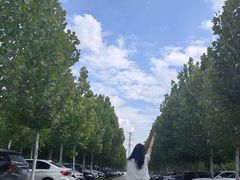 -黄海国家森林公园