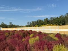 -天津东丽湖风景区