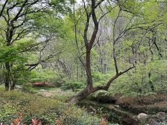 -句容茅山景区