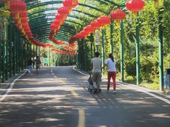 -石家庄市动物园