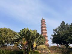 -广州莲花山旅游区