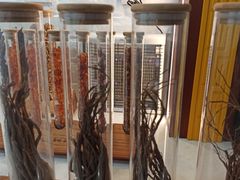 -红糖水都·女生特炖·中式滋补炖(北辰店)